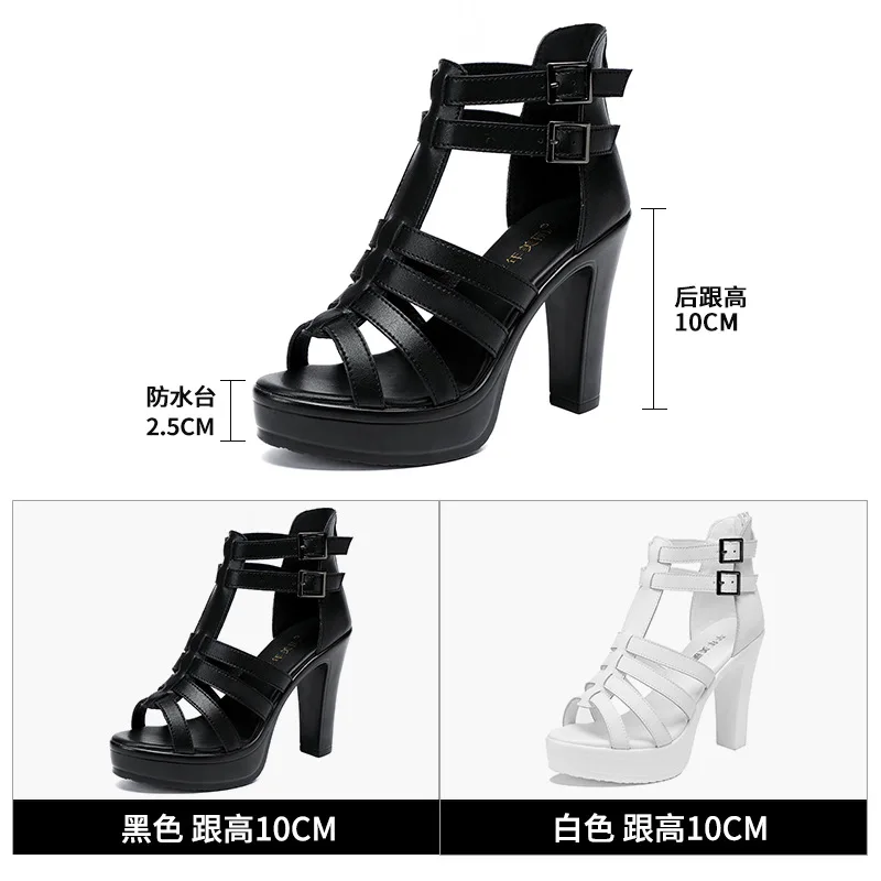 Gladiator-Damenschuh für Damen – Women'S Shoes Quality Bewertung und Preis